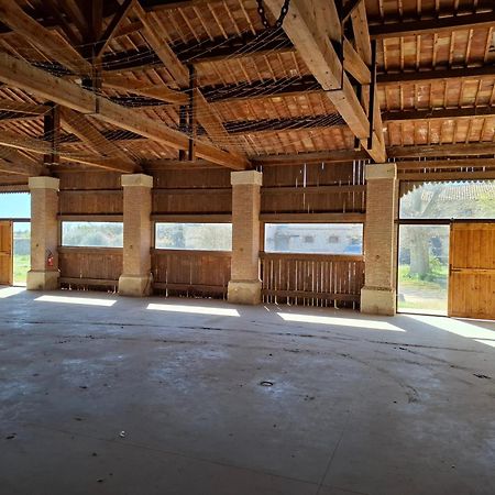 Villa Mas De Bonnafoux Beaucaire  Esterno foto
