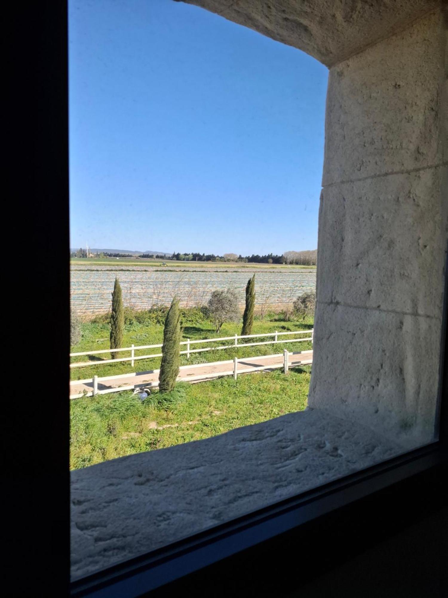 Villa Mas De Bonnafoux Beaucaire  Esterno foto